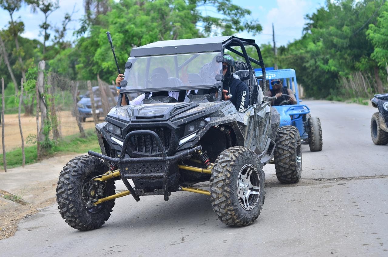 Buggies y Polaris — 8