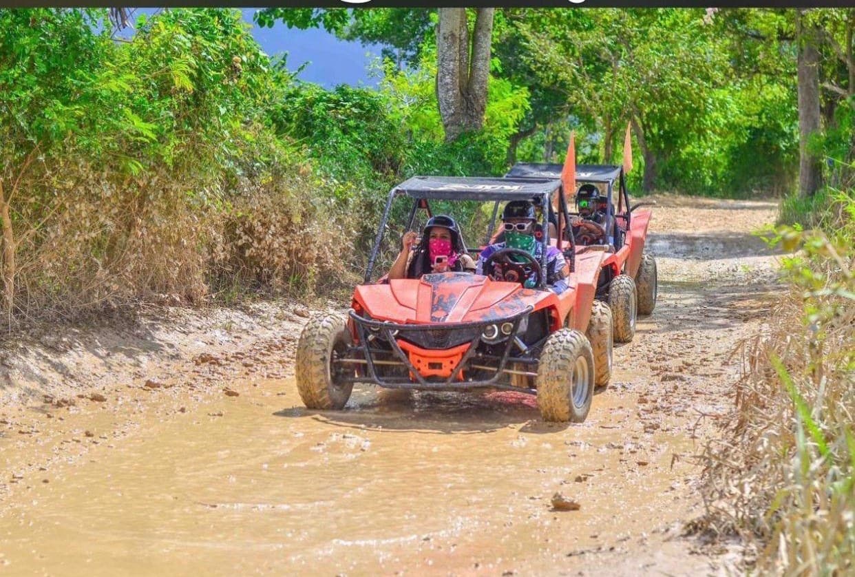 Buggies y Polaris — 6